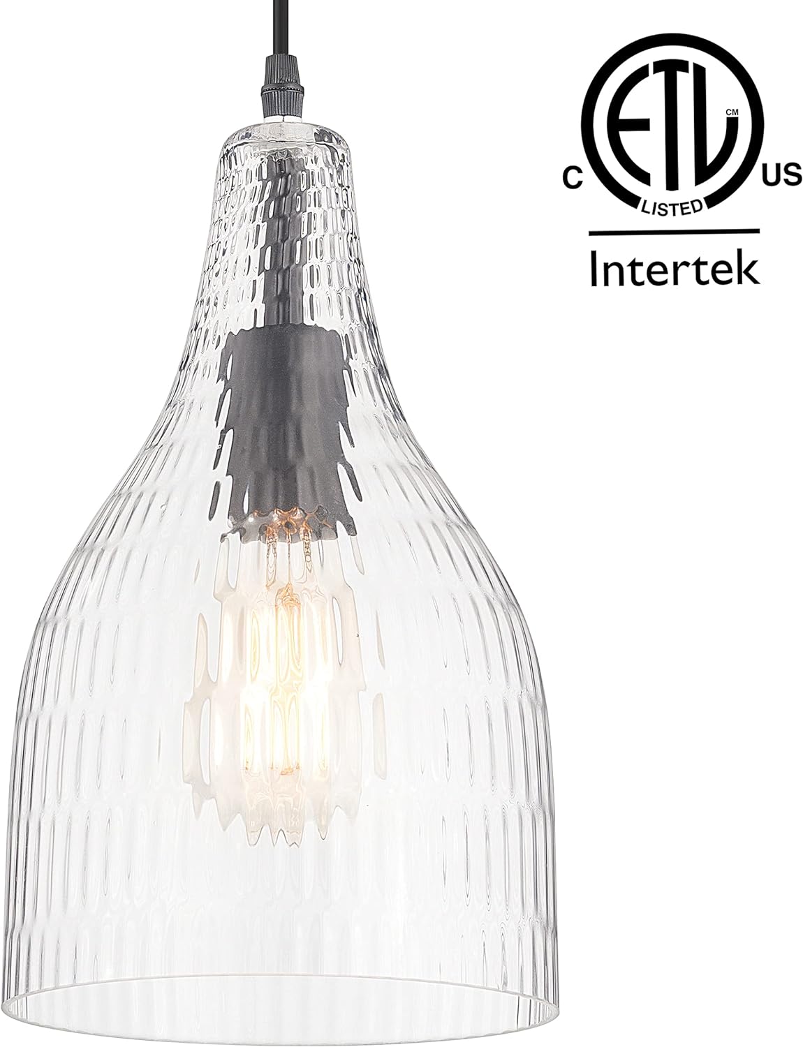Massimo Modern Glass Pendant Hanging Light Fixture, Matte Black, GH22